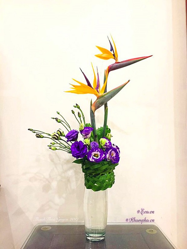 Hoa Thiên Điểu - Sự tích, ý nghĩa và cách cắm hoa đẹp-7